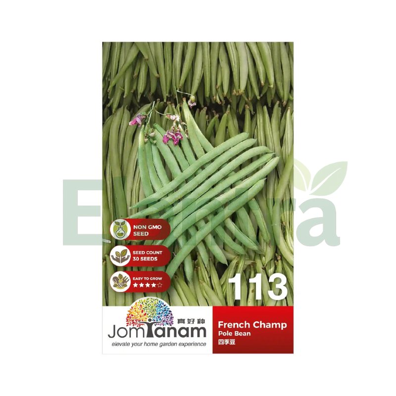 113 POLE BEAN